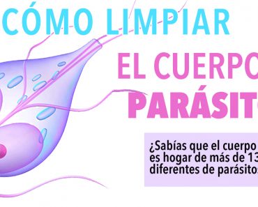 Cómo limpiar el cuerpo de parásitos: ¿sabe que puede tener hasta 130 tipos diferentes de parásitos?