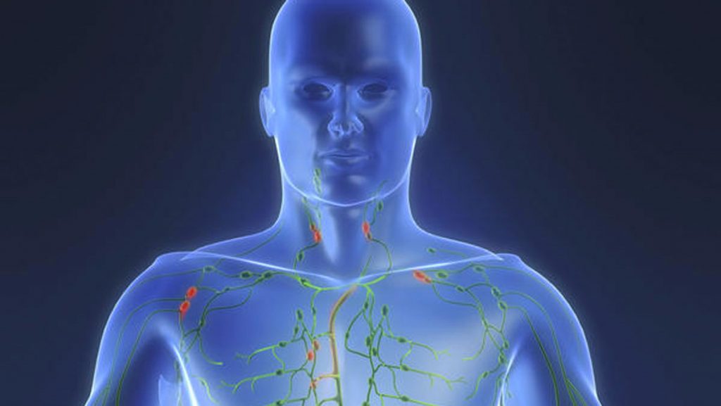 Síntomas de que su sistema linfático está obstruido y cómo repararlo