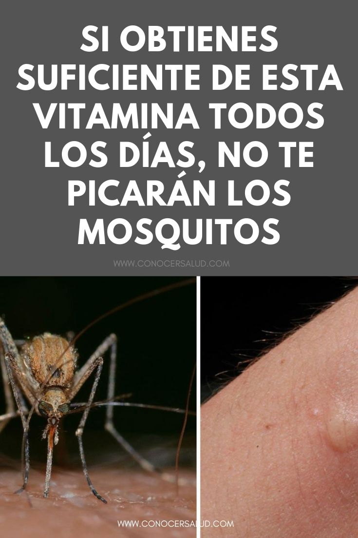 Si obtienes suficiente de esta vitamina todos los días, no te picarán los mosquitos