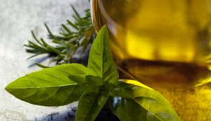 Aceite de orégano: el milagro indispensable de la medicina alternativa