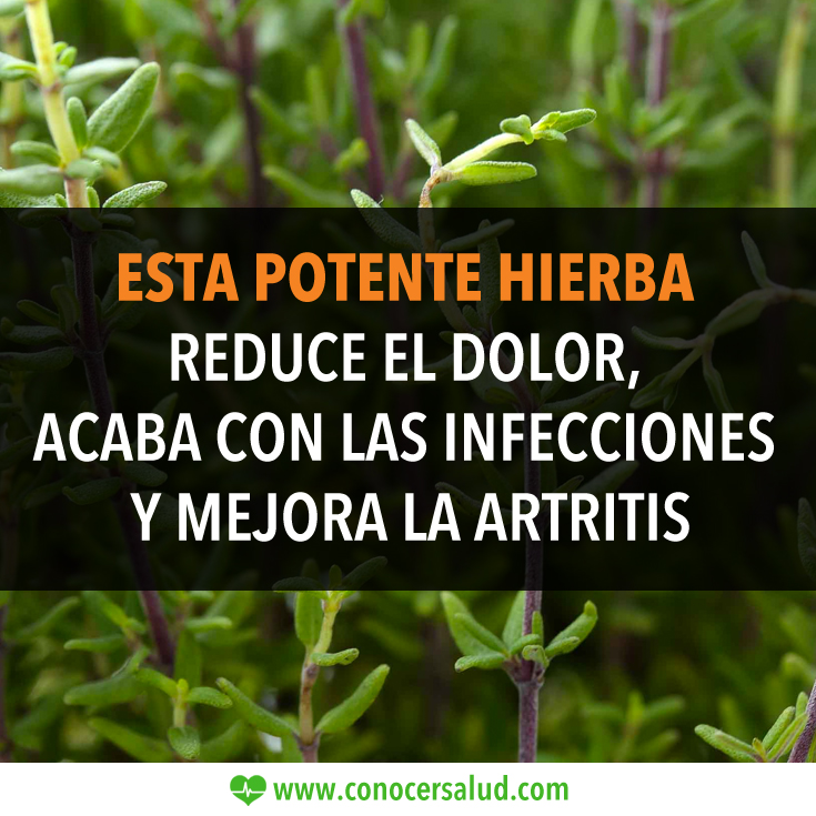Esta potente hierba reduce el dolor, acaba con las infecciones y mejora la artritis