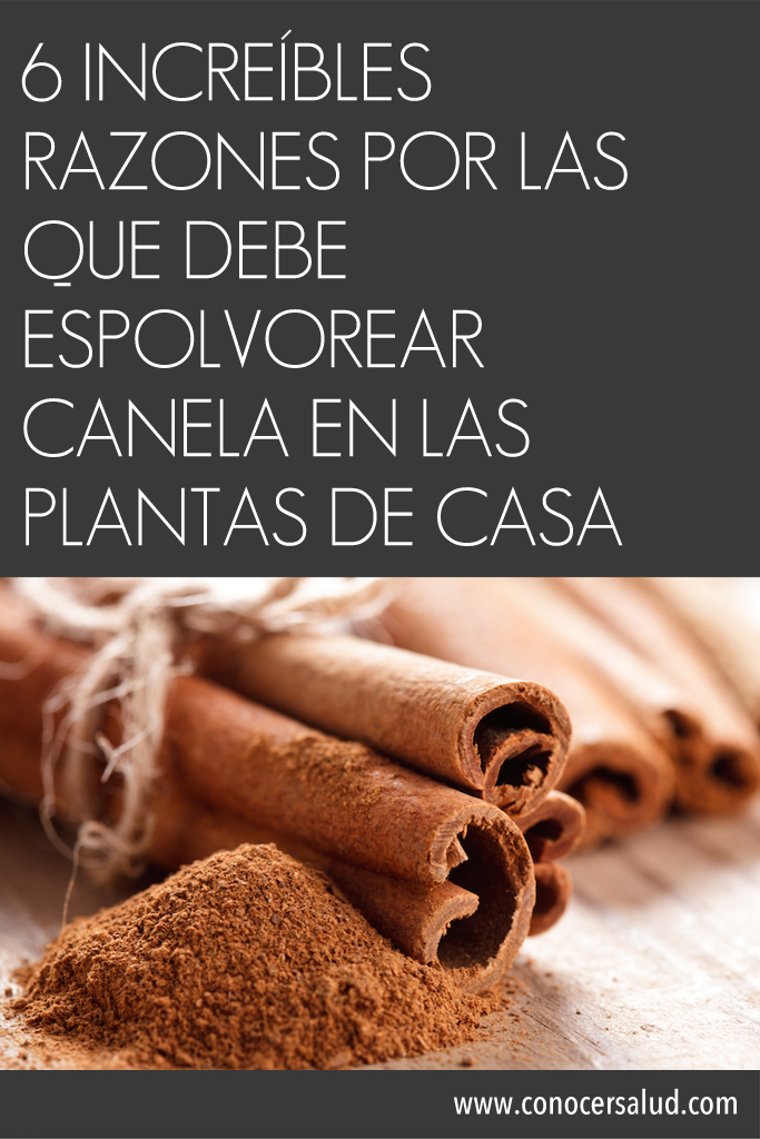 6 increíbles razones por las que debe espolvorear canela en las plantas de casa