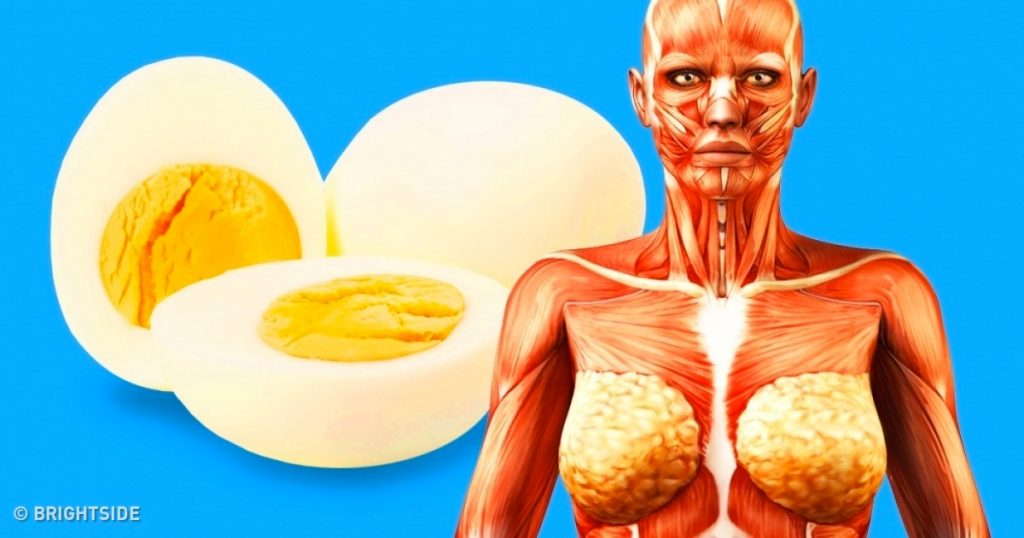 9 cosas que van a suceder a su cuerpo si comienza a comer 2 huevos al día
