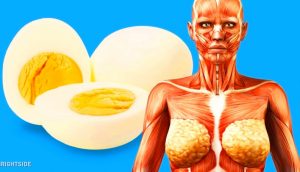 9 cosas que van a suceder a su cuerpo si comienza a comer 2 huevos al día