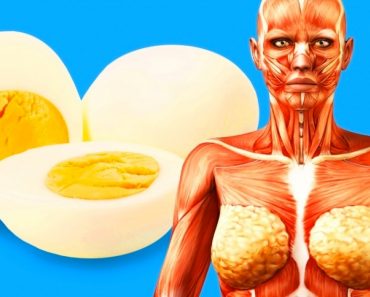 9 cosas que van a suceder a su cuerpo si comienza a comer 2 huevos al día