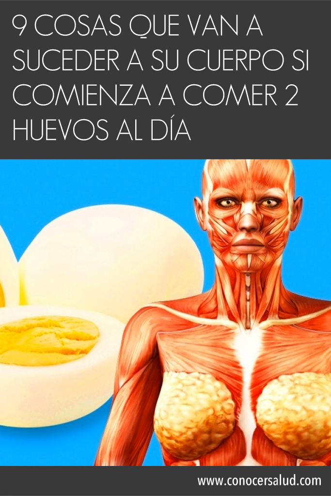 9 cosas que van a suceder a su cuerpo si comienza a comer dos huevos al día