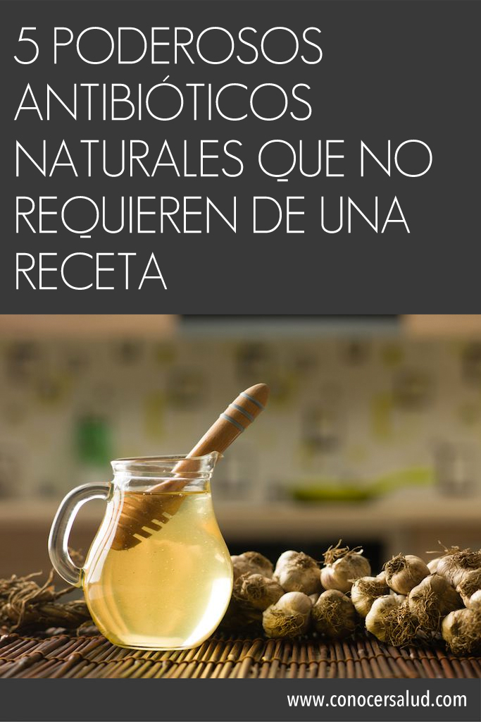 5 poderosos antibióticos naturales que no requieren de una receta