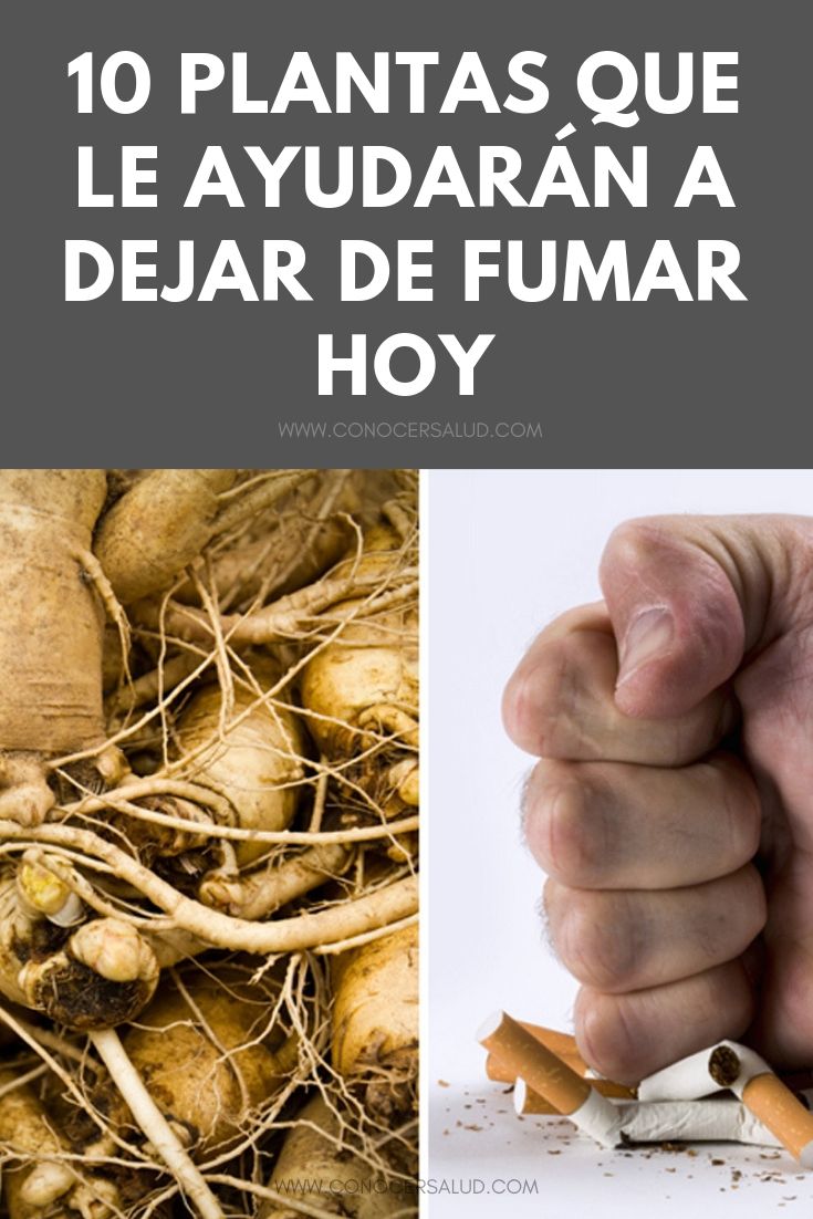 10 plantas que le ayudarán a dejar de fumar HOY