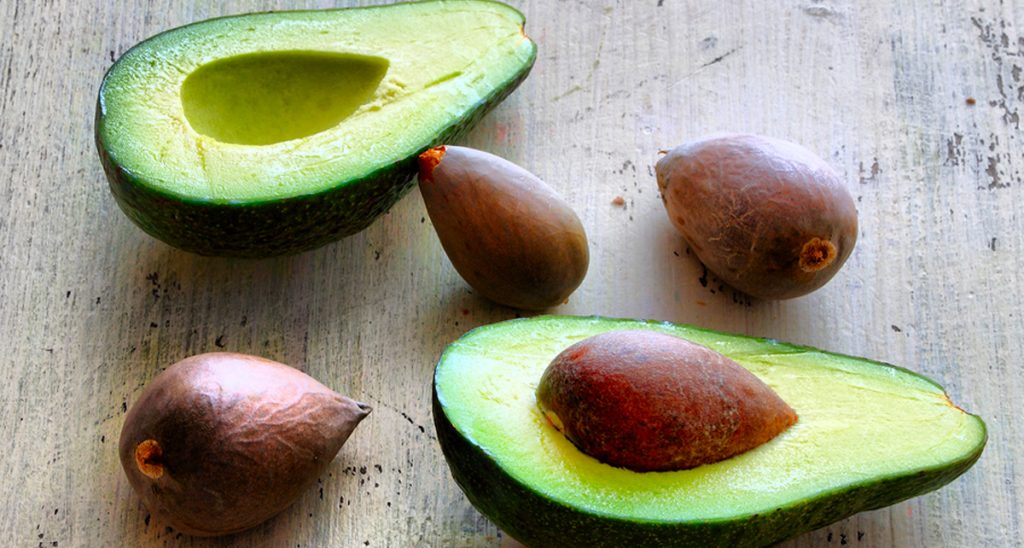 PARA de lanzar lejos los huesos o semillas del aguacate: ¡Son potentes combatientes contra el cáncer!