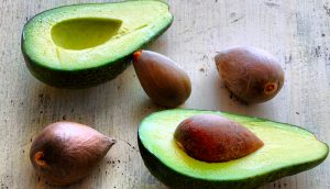 PARA de lanzar lejos los huesos o semillas del aguacate: ¡Son potentes combatientes contra el cáncer!