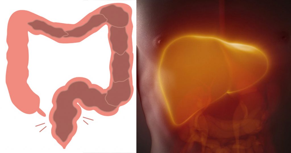 Esta "mala hierba" trata el estreñimiento, la diabetes y el daño hepático