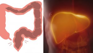 Esta "mala hierba" trata el estreñimiento, la diabetes y el daño hepático