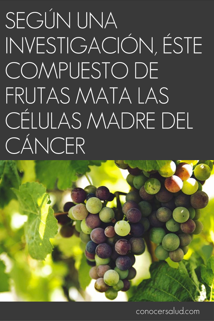 Según una investigación, éste compuesto de frutas mata las células madre del cáncer