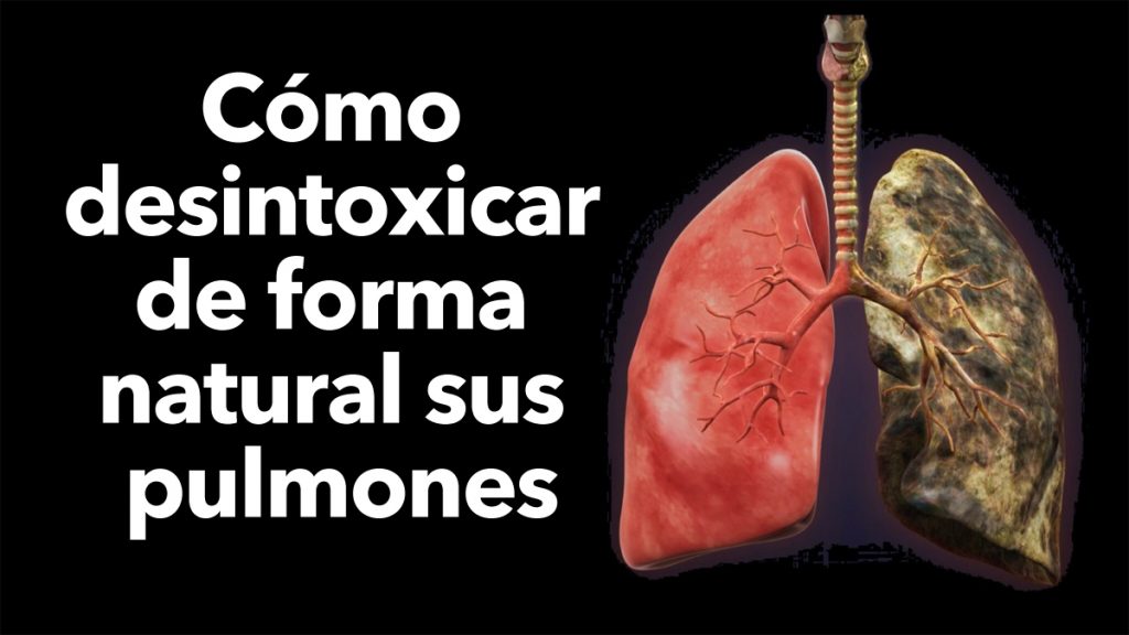 Cómo desintoxicar de forma natural sus pulmones