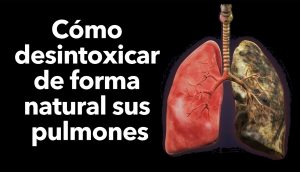 Cómo desintoxicar de forma natural sus pulmones