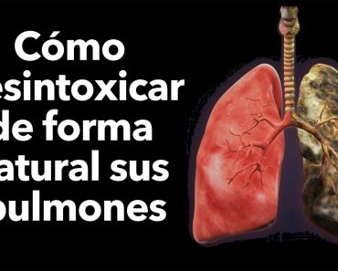 Cómo desintoxicar de forma natural sus pulmones