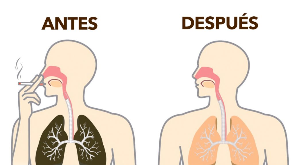 Cómo desintoxicar naturalmente la nicotina de su cuerpo