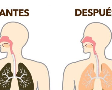 Cómo desintoxicar naturalmente la nicotina de su cuerpo