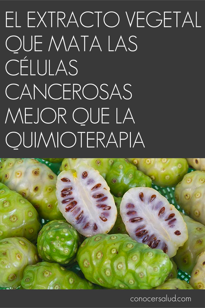 El extracto vegetal que mata las células cancerosas mejor que la quimioterapia, de acuerdo con una investigación