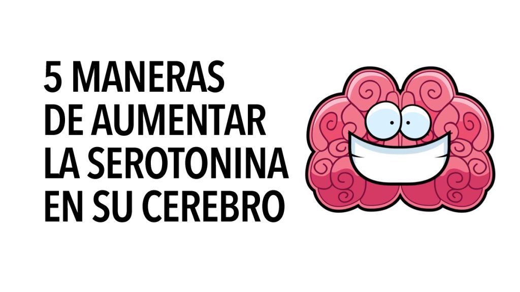 5 maneras de aumentar la serotonina en su cerebro