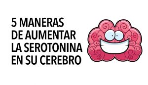 5 maneras de aumentar la serotonina en su cerebro