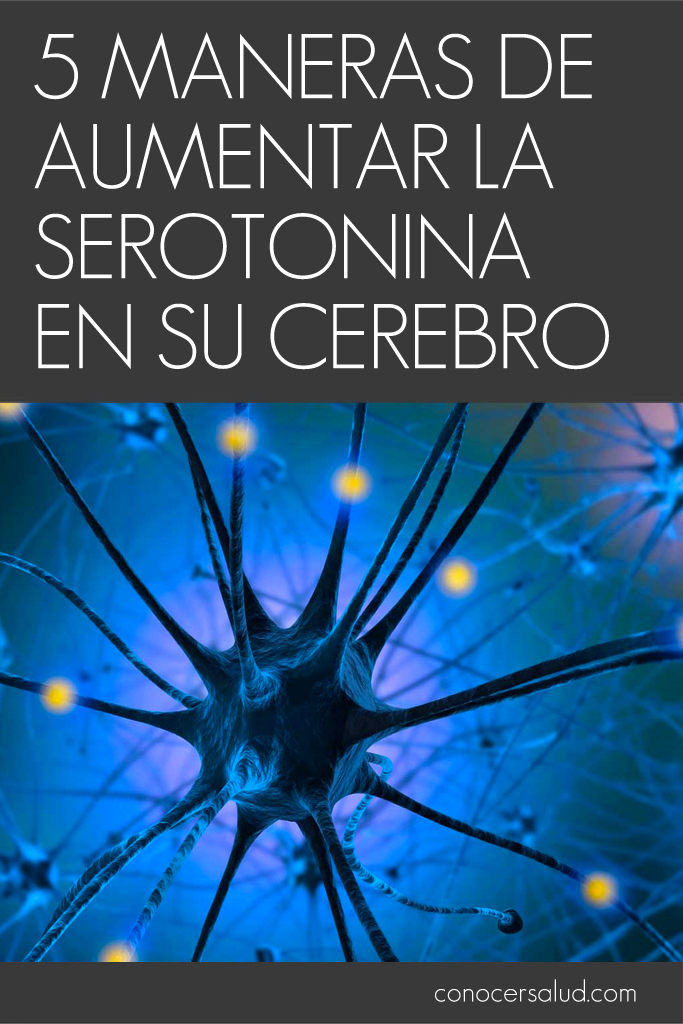 5 maneras de aumentar la serotonina en su cerebro