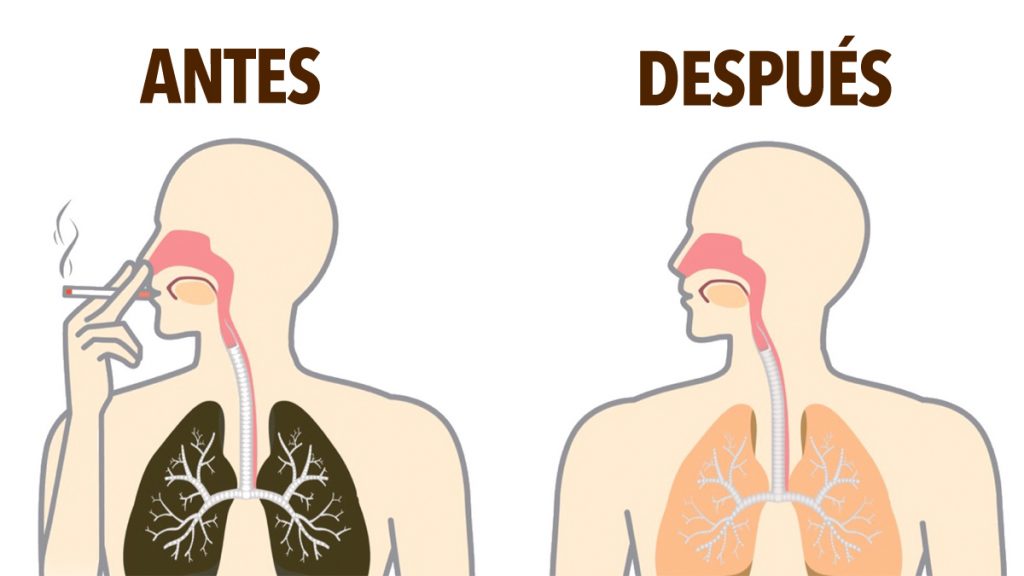 Cómo desintoxicar naturalmente la nicotina de su cuerpo