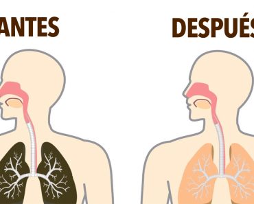 Cómo desintoxicar naturalmente la nicotina de su cuerpo