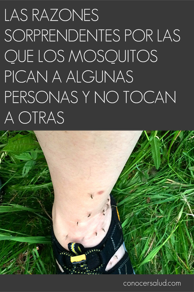 Las razones sorprendentes por las que los mosquitos pican a algunas personas y no tocan a otras