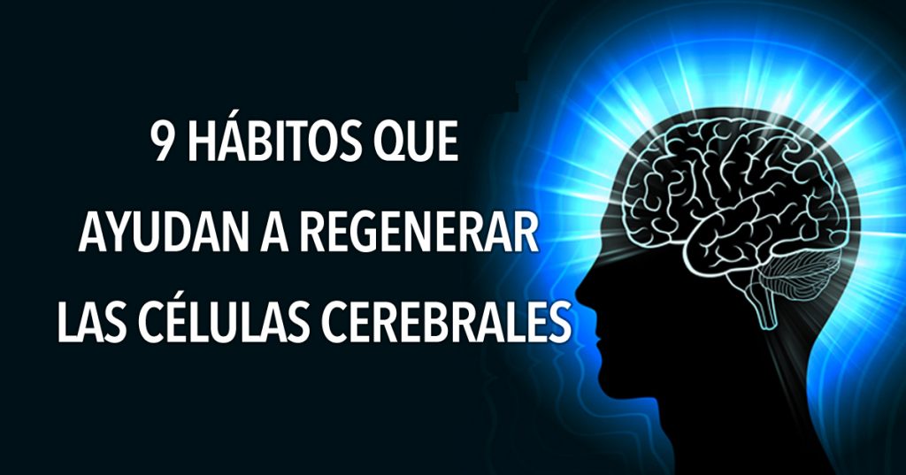 9 hábitos que ayudan a regenerar las células cerebrales