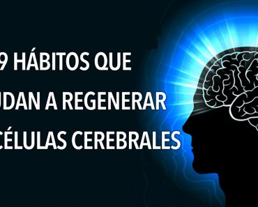 9 hábitos que ayudan a regenerar las células cerebrales