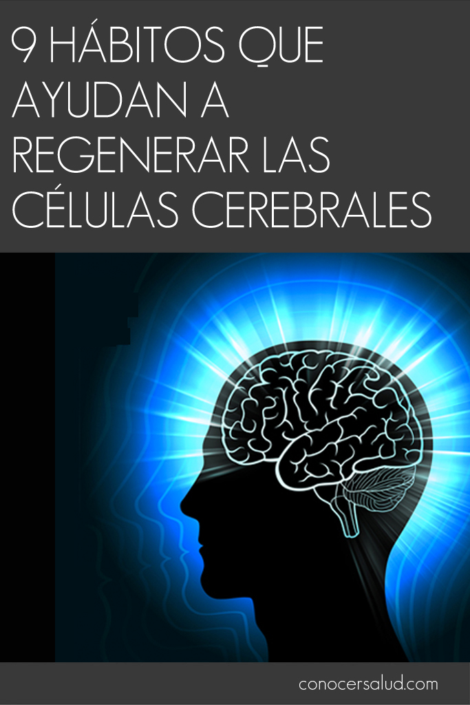 9 hábitos que ayudan a regenerar las células cerebrales