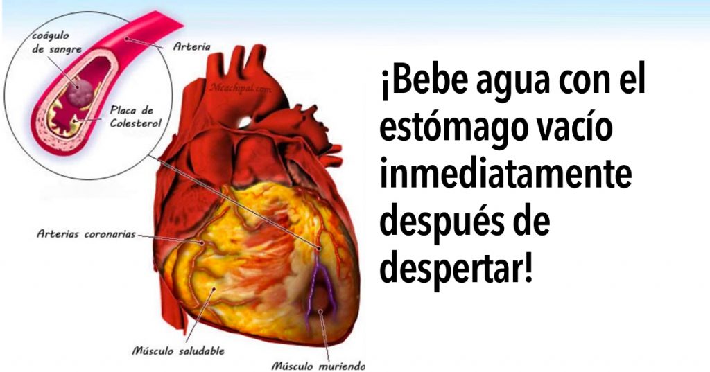 Por qué beber agua después de despertarse tiene enormes beneficios para su salud