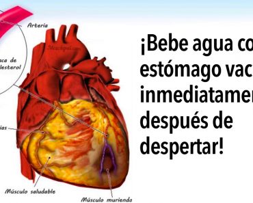 Por qué beber agua después de despertarse tiene enormes beneficios para su salud