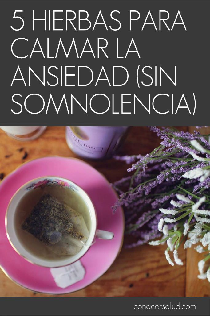 5 hierbas para calmar la ansiedad (sin somnolencia)