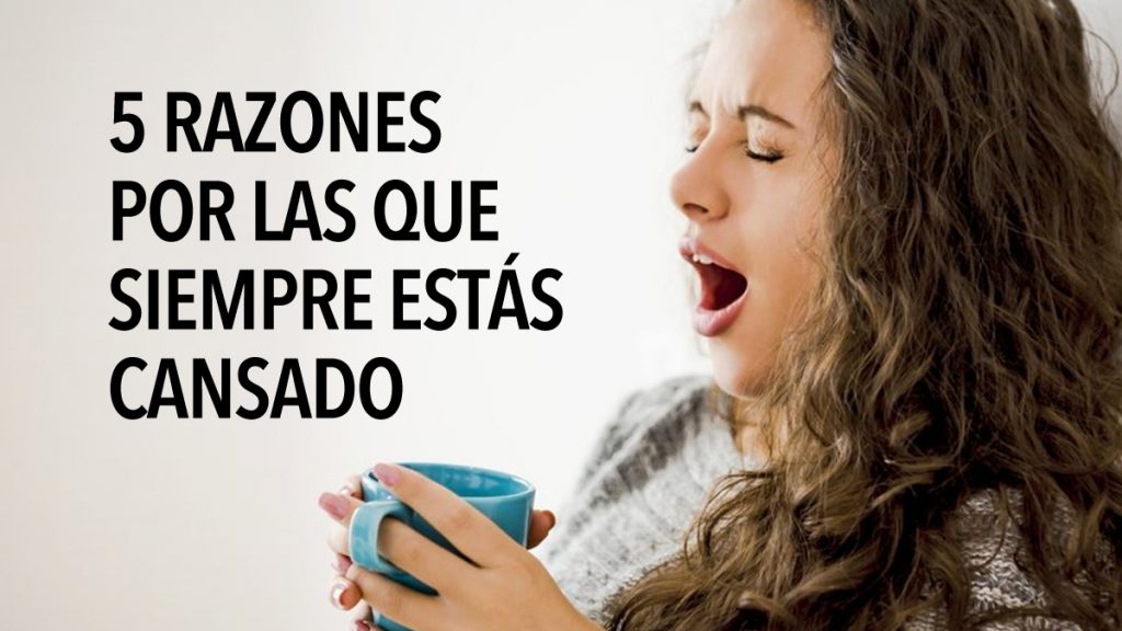 5 razones por las que siempre estás cansado