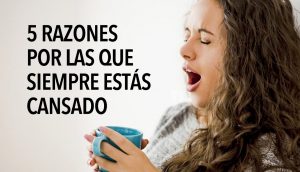 5 razones por las que siempre estás cansado