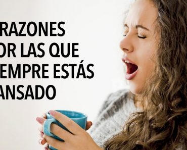 5 razones por las que siempre estás cansado