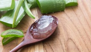 Ésto hace el Aloe Vera: ¿Por qué los egipcios la llamaron la planta de la inmortalidad?