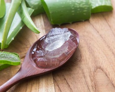 Ésto hace el Aloe Vera: ¿Por qué los egipcios la llamaron la planta de la inmortalidad?