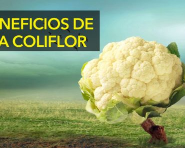 Cómo y por qué deberíamos comer más coliflor