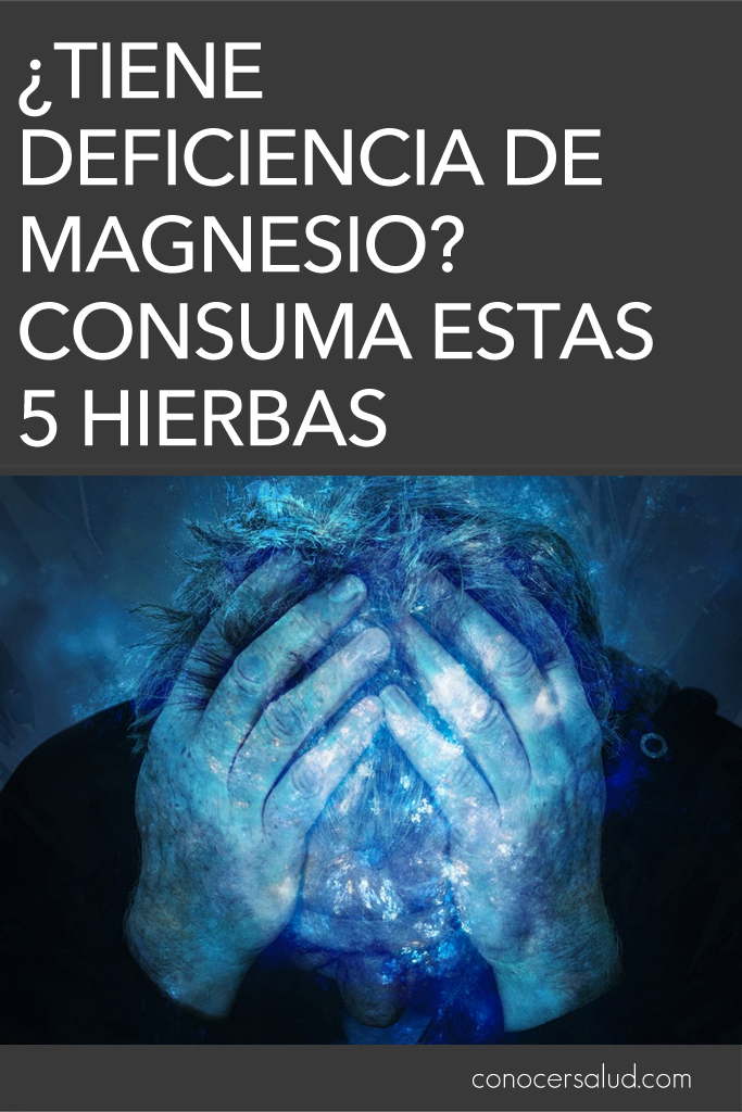 ¿Tiene deficiencia de magnesio? Consuma estas 5 hierbas