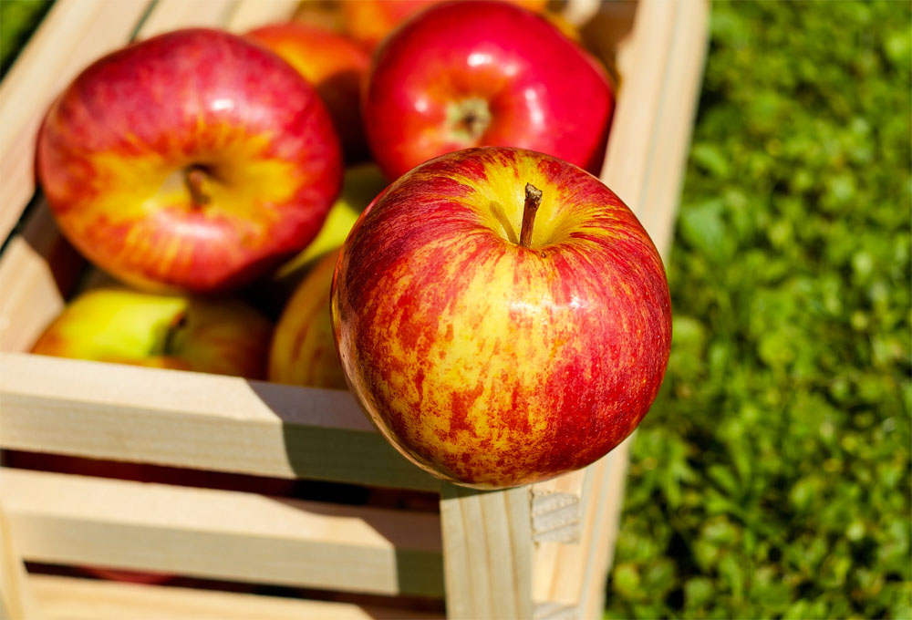 Alimentos que puedes comer mucho sin aumentar de peso