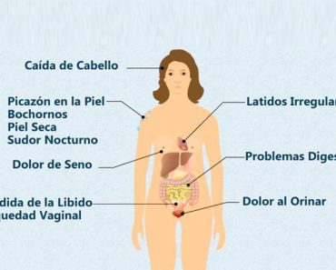 Aumento de peso en la menopausia: Qué lo causa y cómo controlarlo