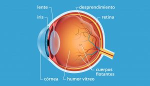 Flotadores en sus ojos: causas principales y algunos consejos para prevenirlos