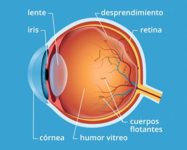 Flotadores en sus ojos: causas principales y algunos consejos para prevenirlos