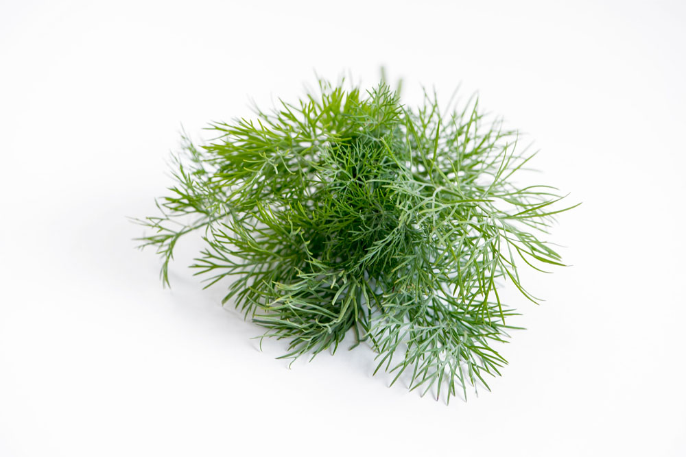 Estas 5 hierbas le ayudarán a vencer la deficiencia de magnesio