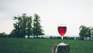 Nuevo estudio dice que una copa de vino tinto es equivalente a una hora en el gimnasio