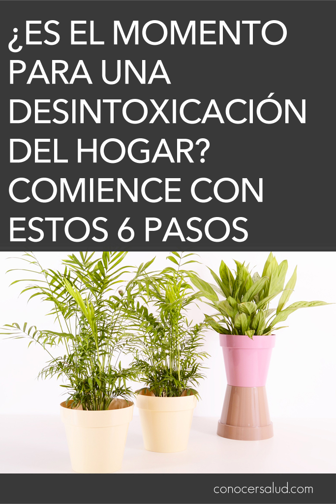 ¿Es el momento para una desintoxicación del hogar? Comience con estos 6 pasos