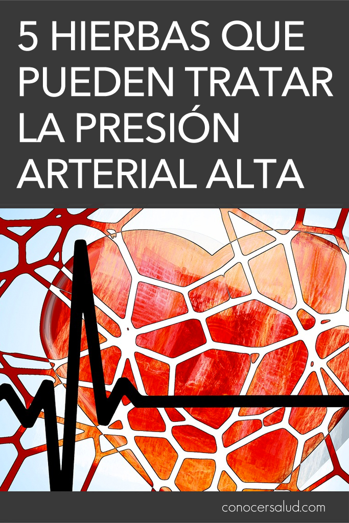 5 hierbas que pueden tratar la presión arterial alta